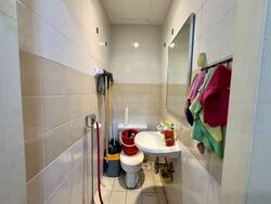 Dover Parkview (D5), Condominium #453294961